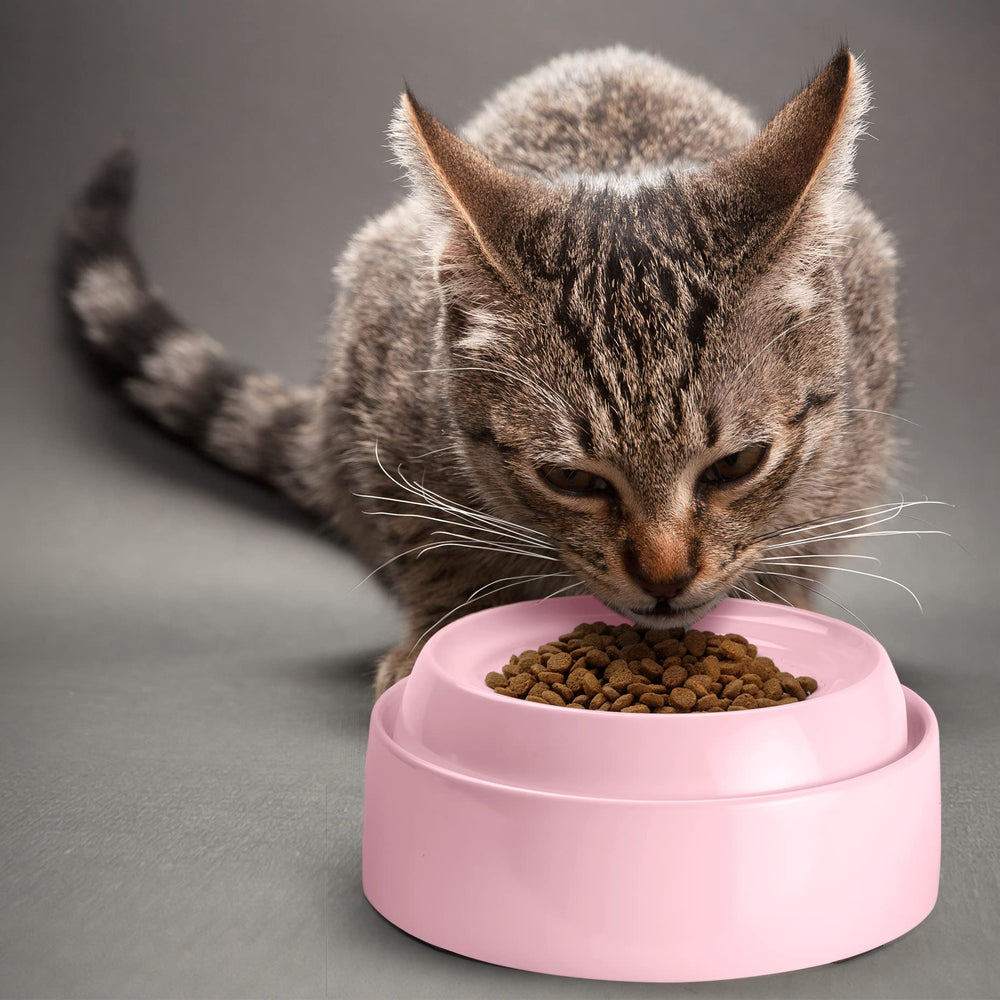 CatGuru gamelle à l'échelle avec pièce pour visualiser la taille