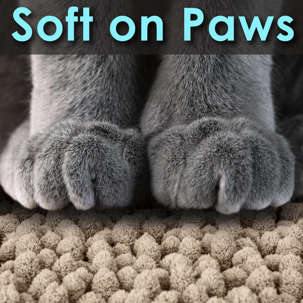 CatGuru chat sortant du bac sur tapis, maintien propre des pattes