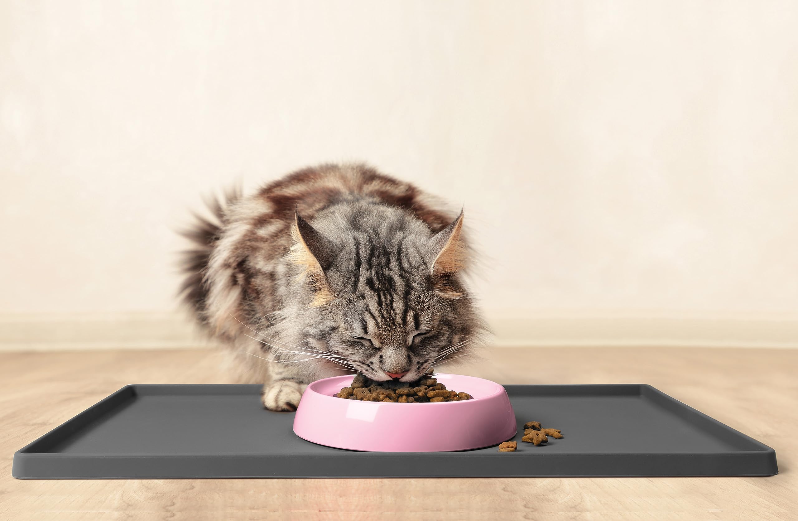 CatGuru lot de deux gamelles roses pratique pour foyers multiples