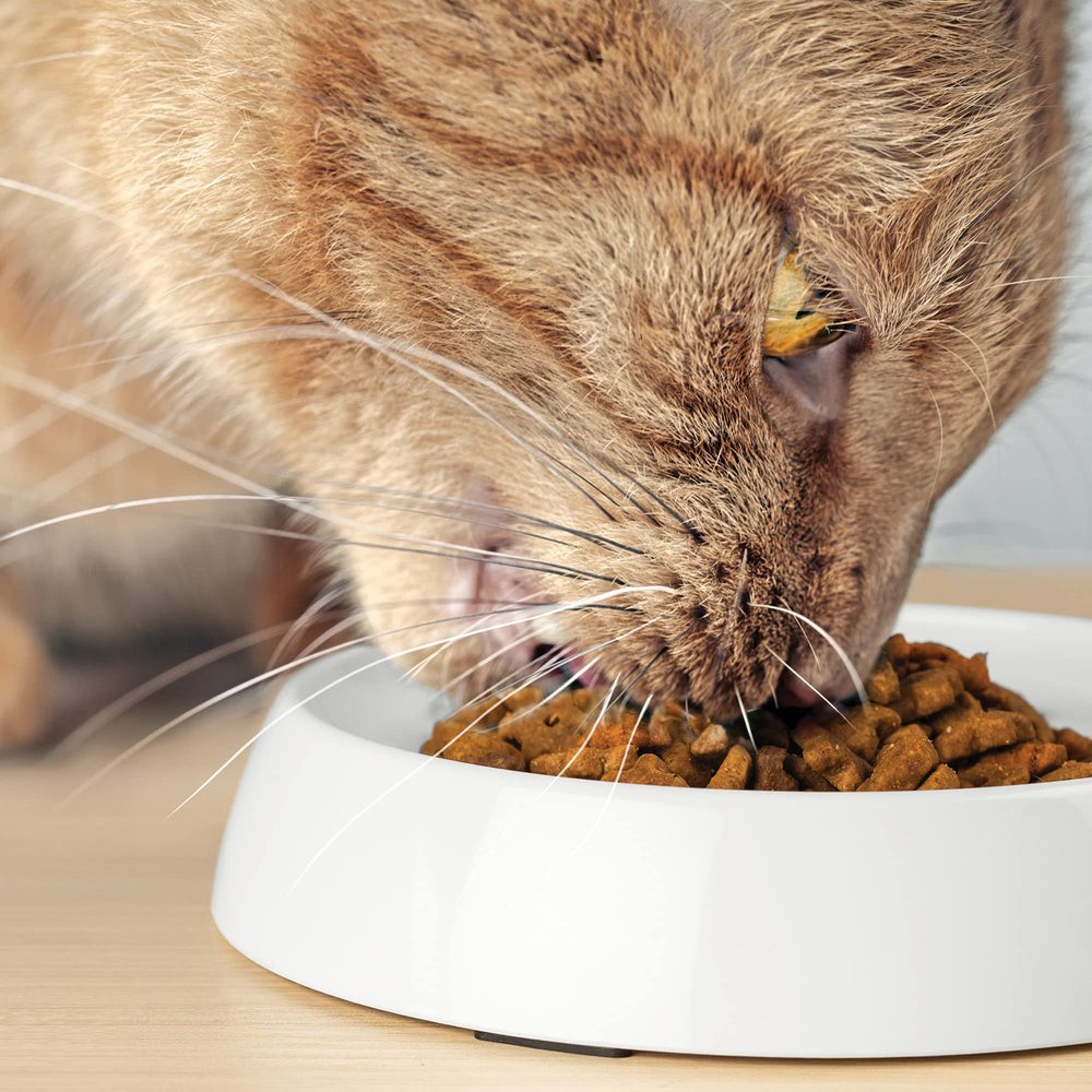 Emballage lot de 2 CatGuru Marshmallow prêt à l'emploi et stockage pratique