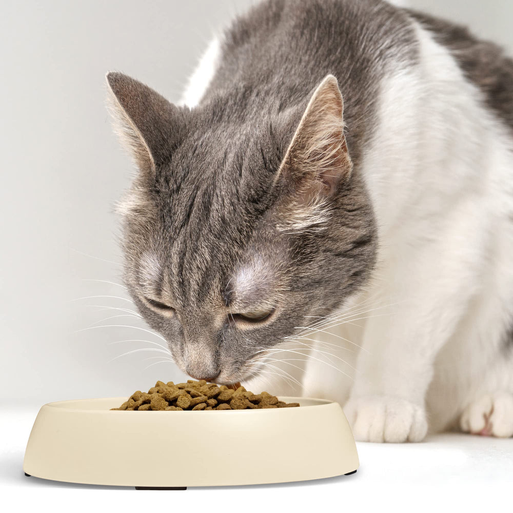 CatGuru lot de 2 gamelles sable pratique pour eau et nourriture