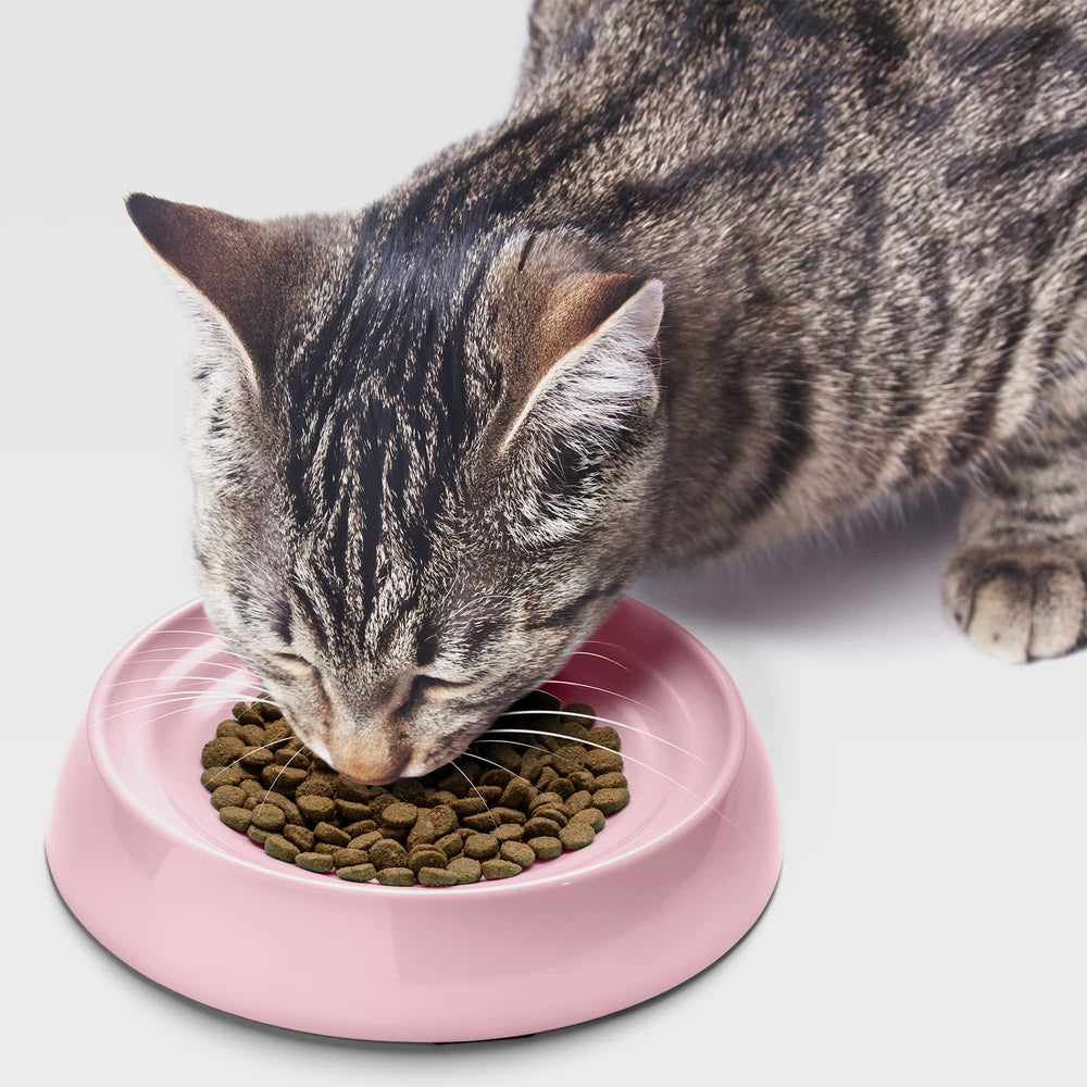 CatGuru plan rapproché de l'étiquette matériaux sûrs et non toxiques
