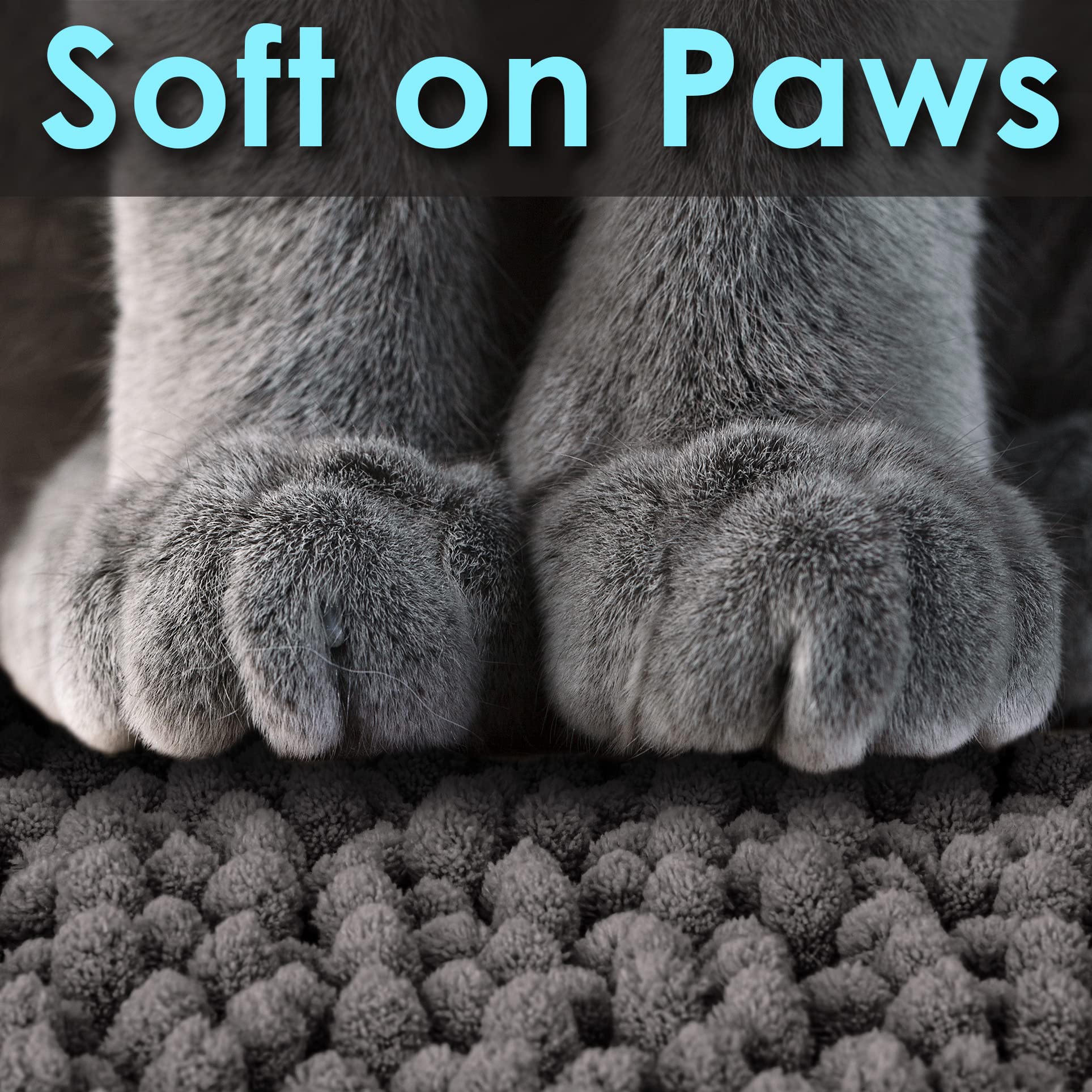 Chat utilisant CatGuru sur le tapis capte la litière après sortie