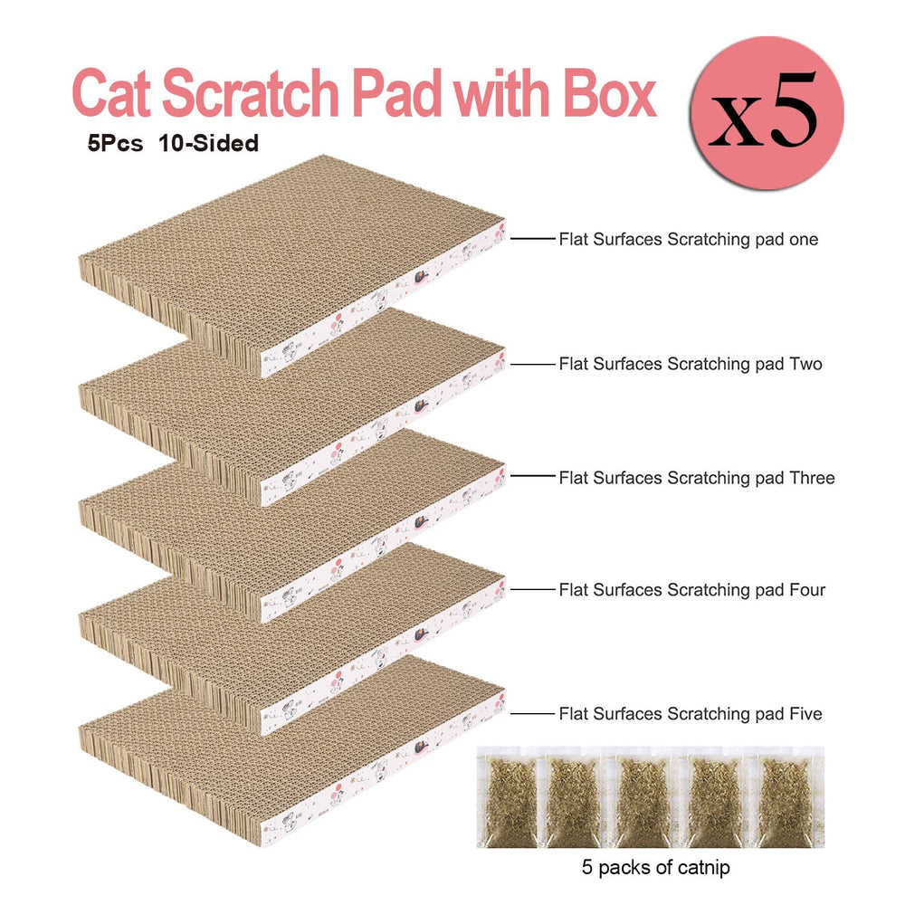 Catinarla gros plan sur texture du carton offrant accroche pour griffes