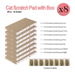 Catinarla gros plan sur texture de carton ondulé, surface durable pour griffes
