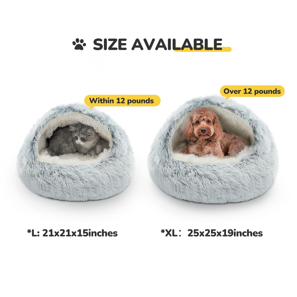 CATISM comparaison taille montre adaptation chats moyens et petits chiens