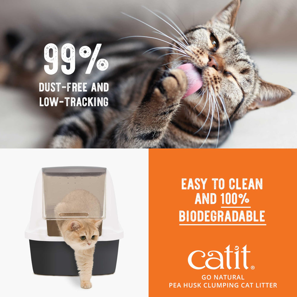 Catit gros plan grumeaux formés montrant agglomération ferme et gestion des odeurs