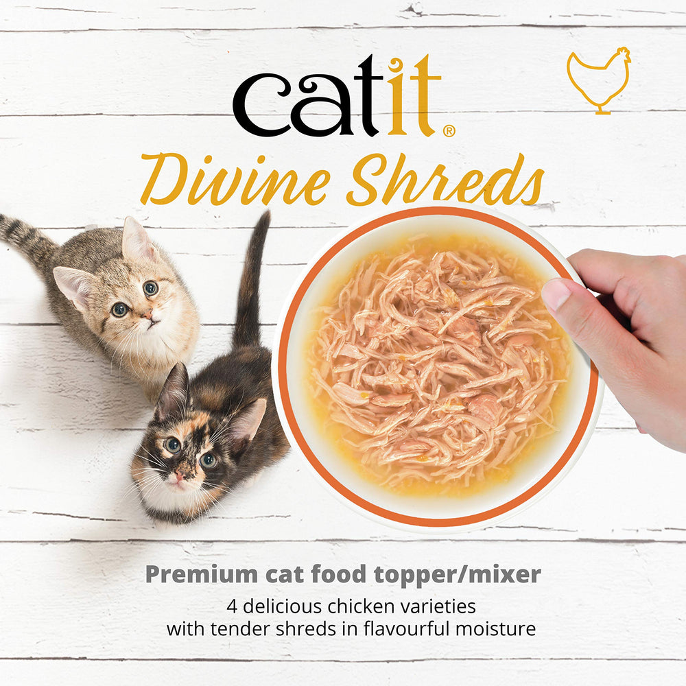 Catit gros plan sur effilochés de poulet montrant texture tendre et appétence