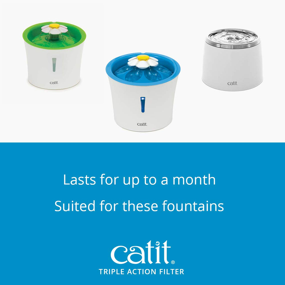 Catit filtre dans une cuisine moderne près d'une fontaine, encourage hydratation du chat