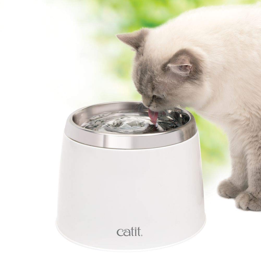 Catit gros plan du dessus en acier inoxydable facile à laver et hygiénique