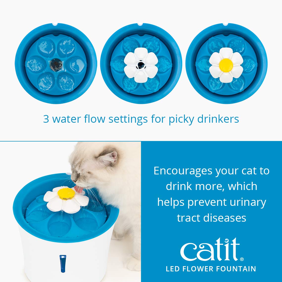 Catit flux en ruban actif encourageant le chat à boire plus souvent