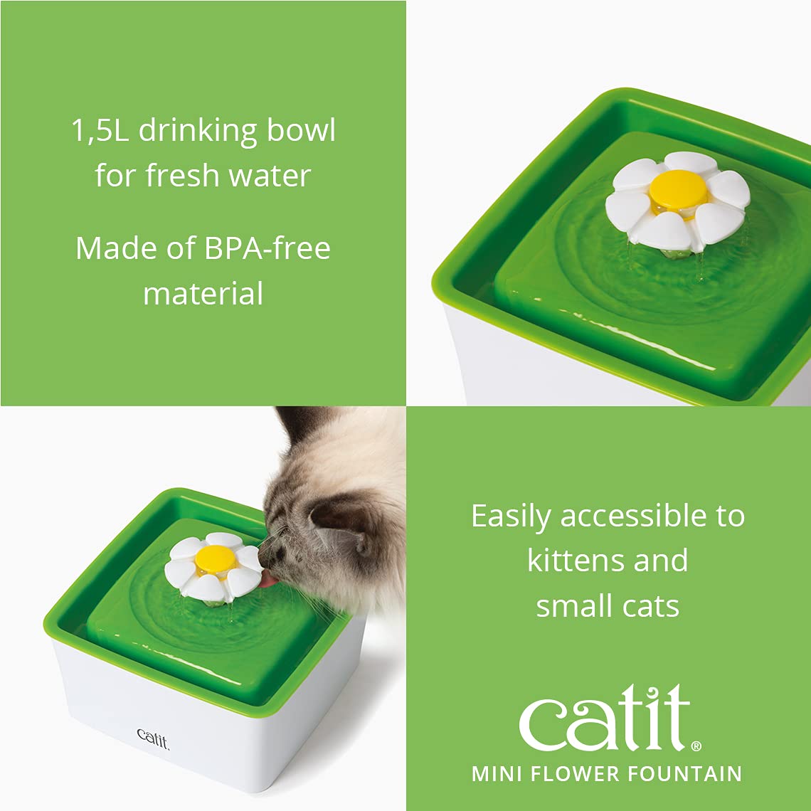 Catit mini flower gros plan sur la fleur, stimule la curiosité du chat