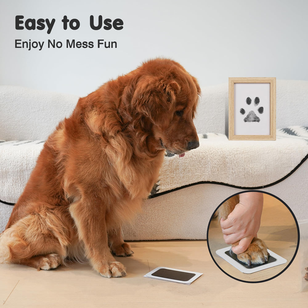 catose utilisation avec chien montrant application simple et rapide