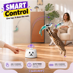 Catpick joy plumes et rubans interchangeables renouvelant l'intérêt