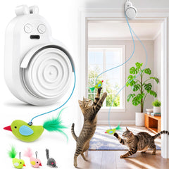 Catpick toy vue avant du boîtier montrant la conception compacte et la portabilité