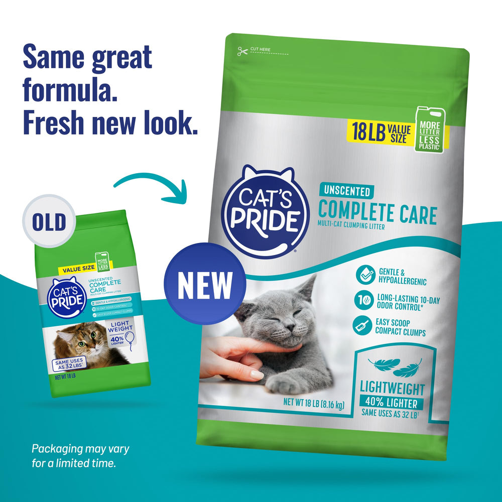 Cat's Pride gros plan sur la texture de l'argile montrant l'absorption efficace