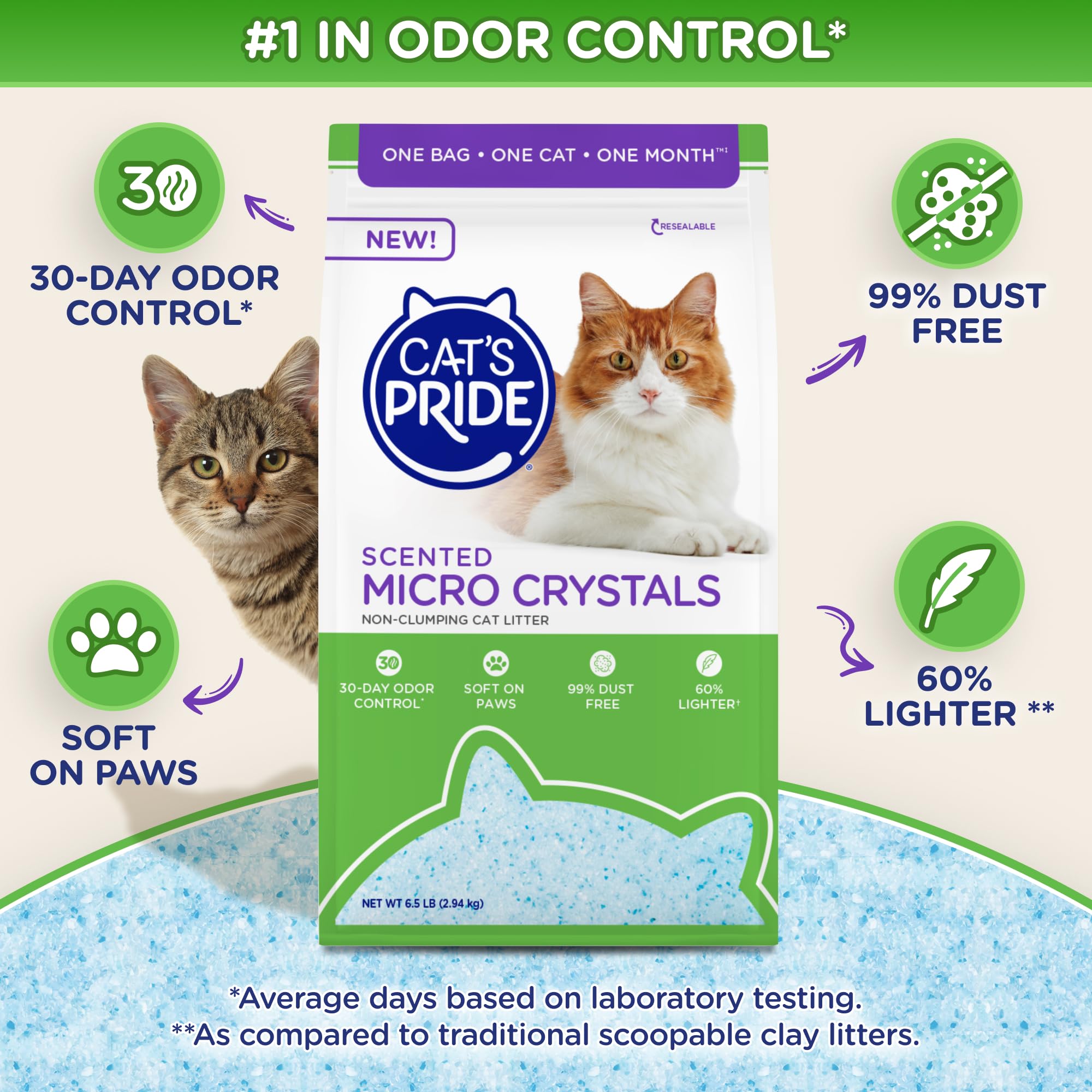 Cat's Pride gros plan sur texture des micro-cristaux, absorption rapide