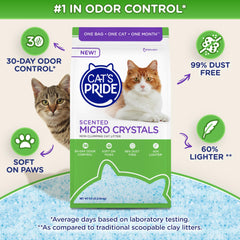 Cat's Pride gros plan sur texture des micro-cristaux, absorption rapide