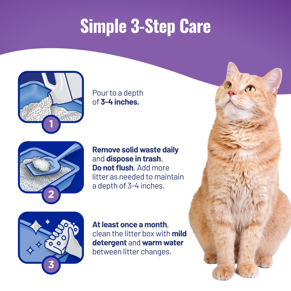 Cat's Pride usage dans salon montrant environnement plus propre et frais