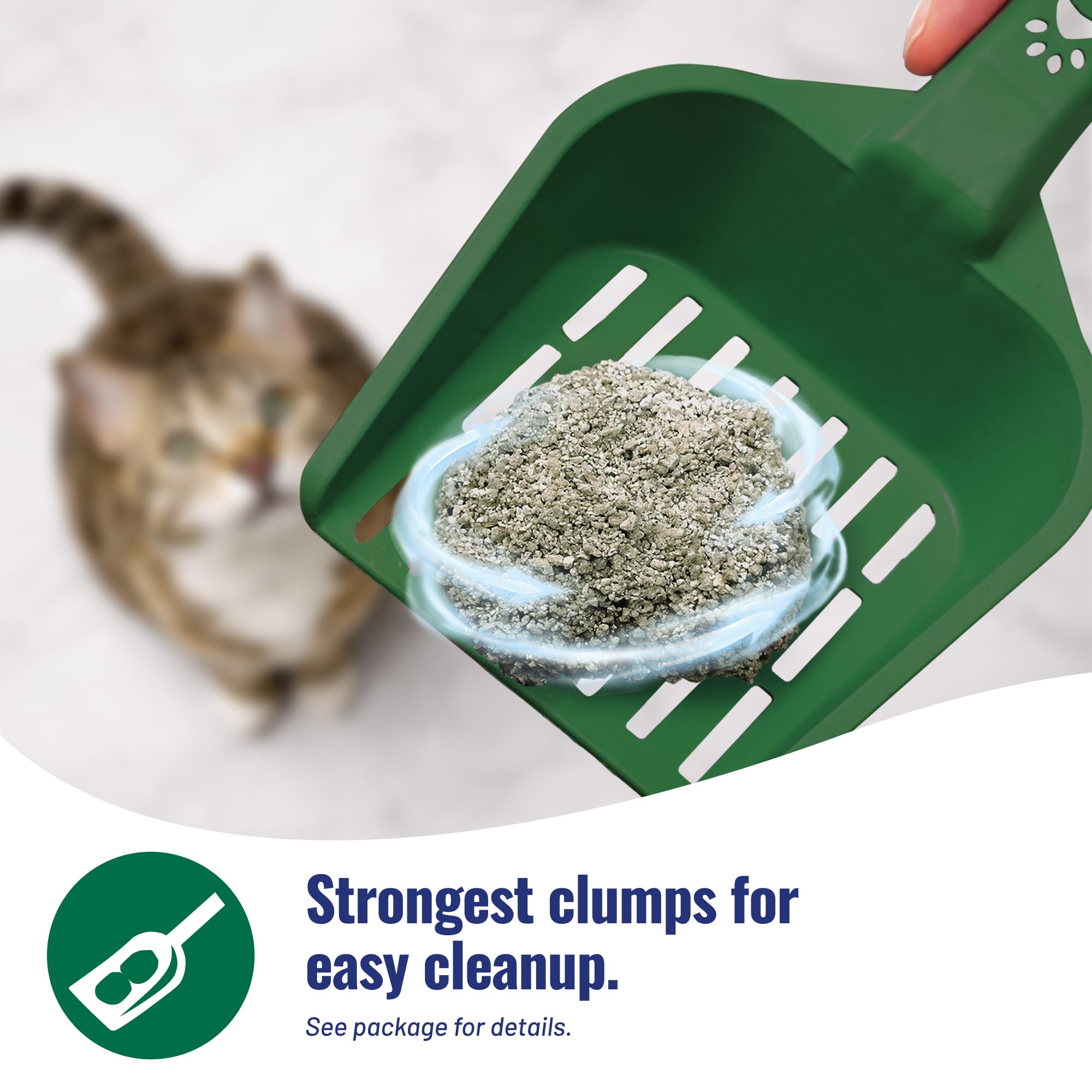 Cat's Pride chat utilisant bac montrant confort animal et bac propre