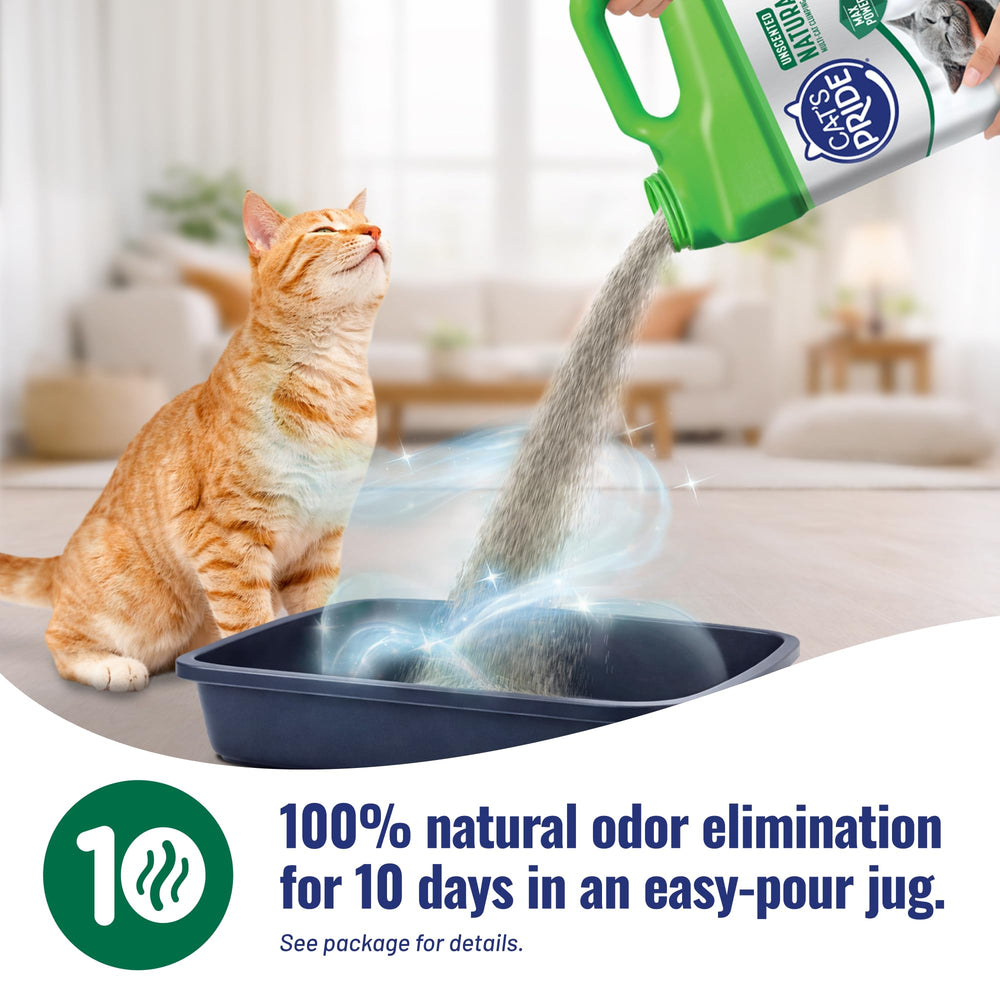 Cat's Pride versement dans bac démontrant facilité d'utilisation et zéro gaspillage
