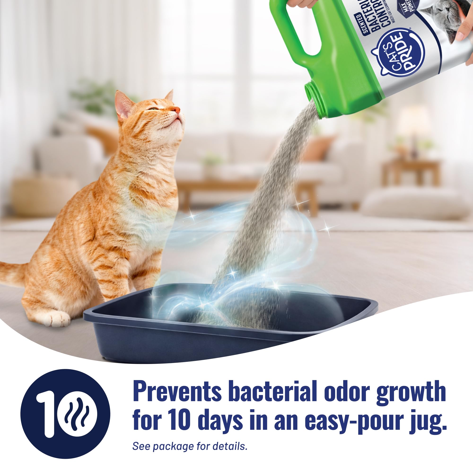 Cat's Pride versement dans bac démontrant maniabilité et moins de gâchis