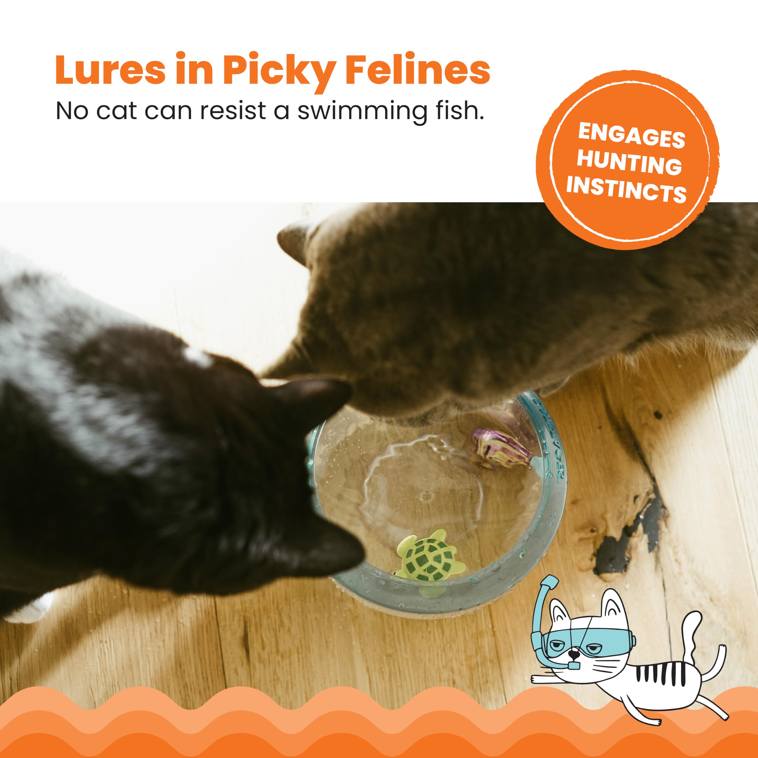 Catstages bol en usage avec chat donnant interaction et exercice actif