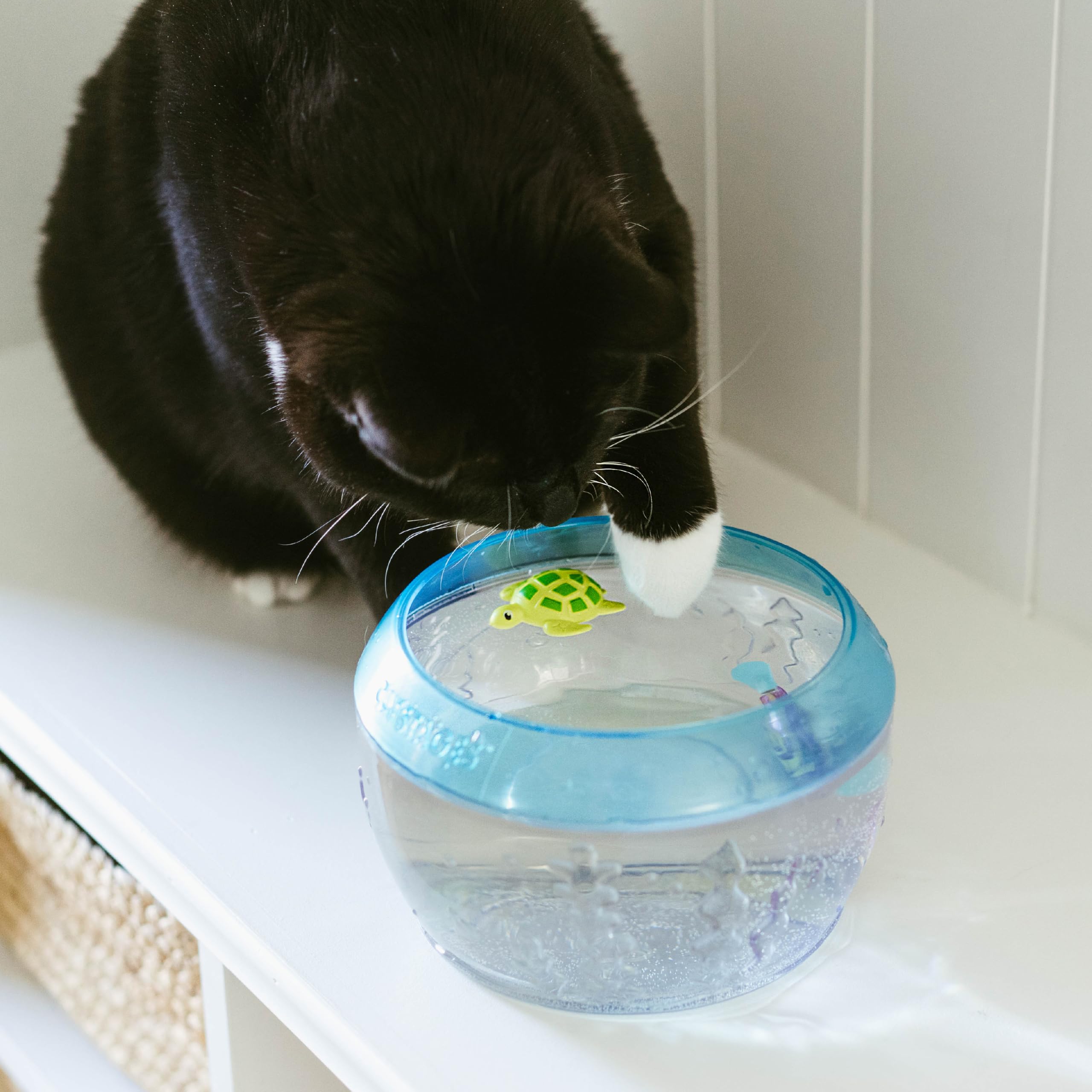 Catstages bol au lave-vaisselle sur grille supérieure garantissant nettoyage simple
