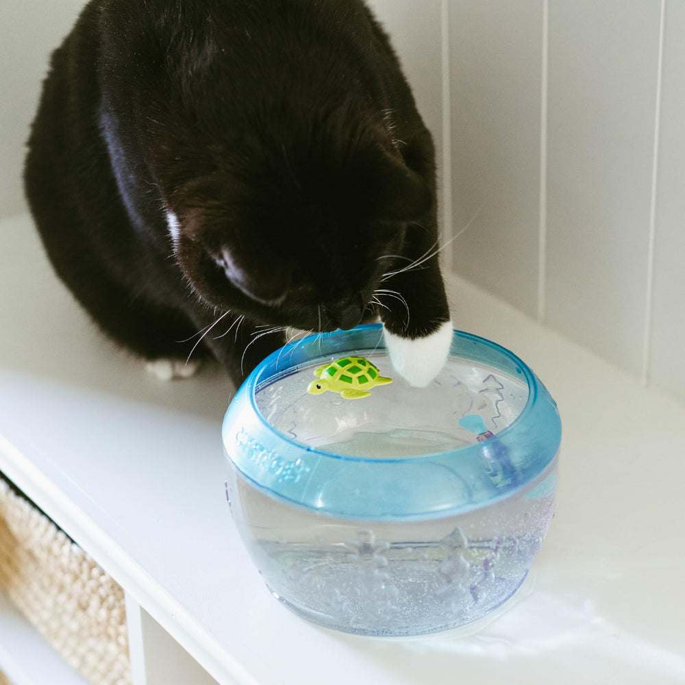 Catstages bol au lave-vaisselle sur grille supérieure garantissant nettoyage simple