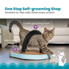 Catstages brosse arquée amovible montrée en détail pour toilettage
