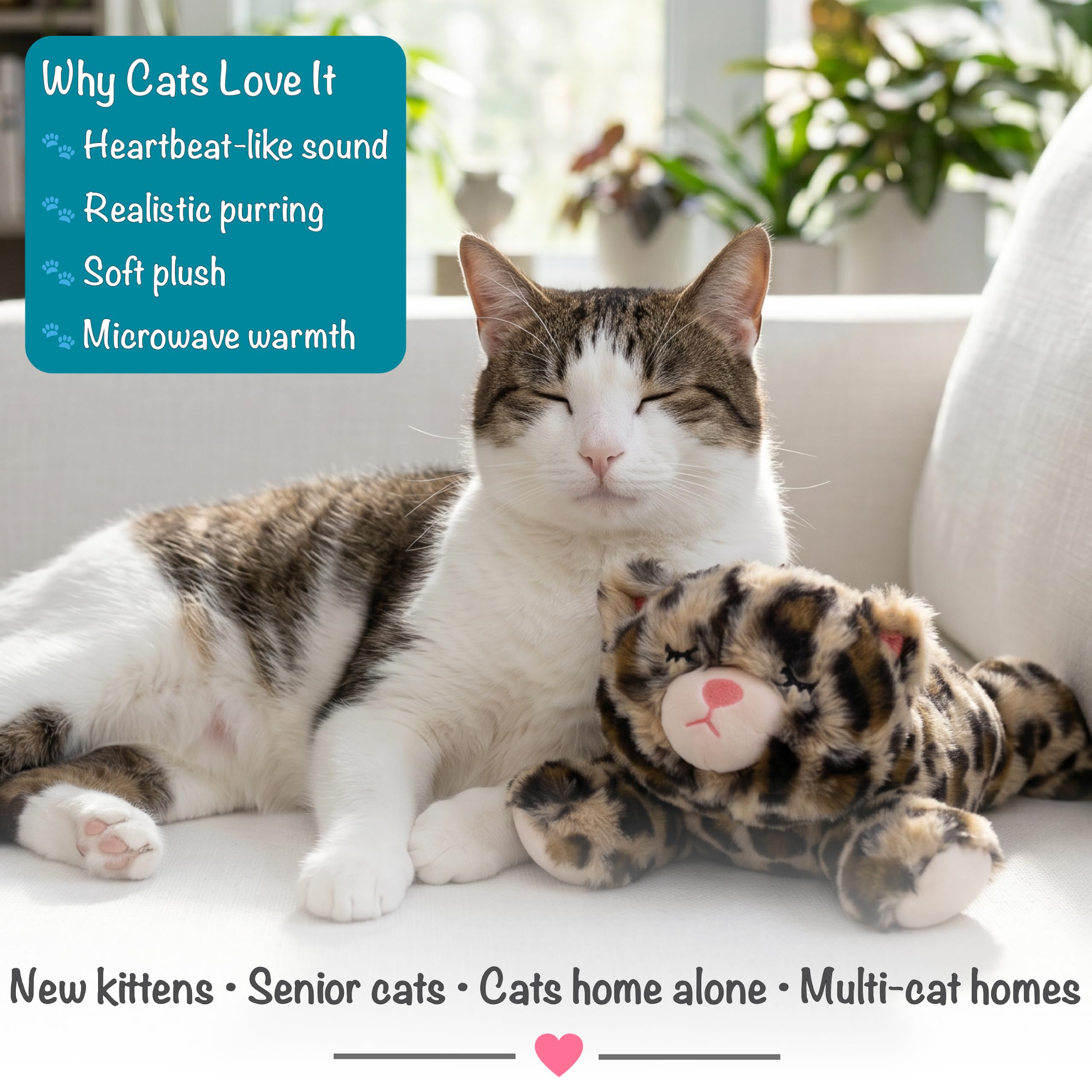 Catstages chat blotti sur la peluche illustrant réduction stress