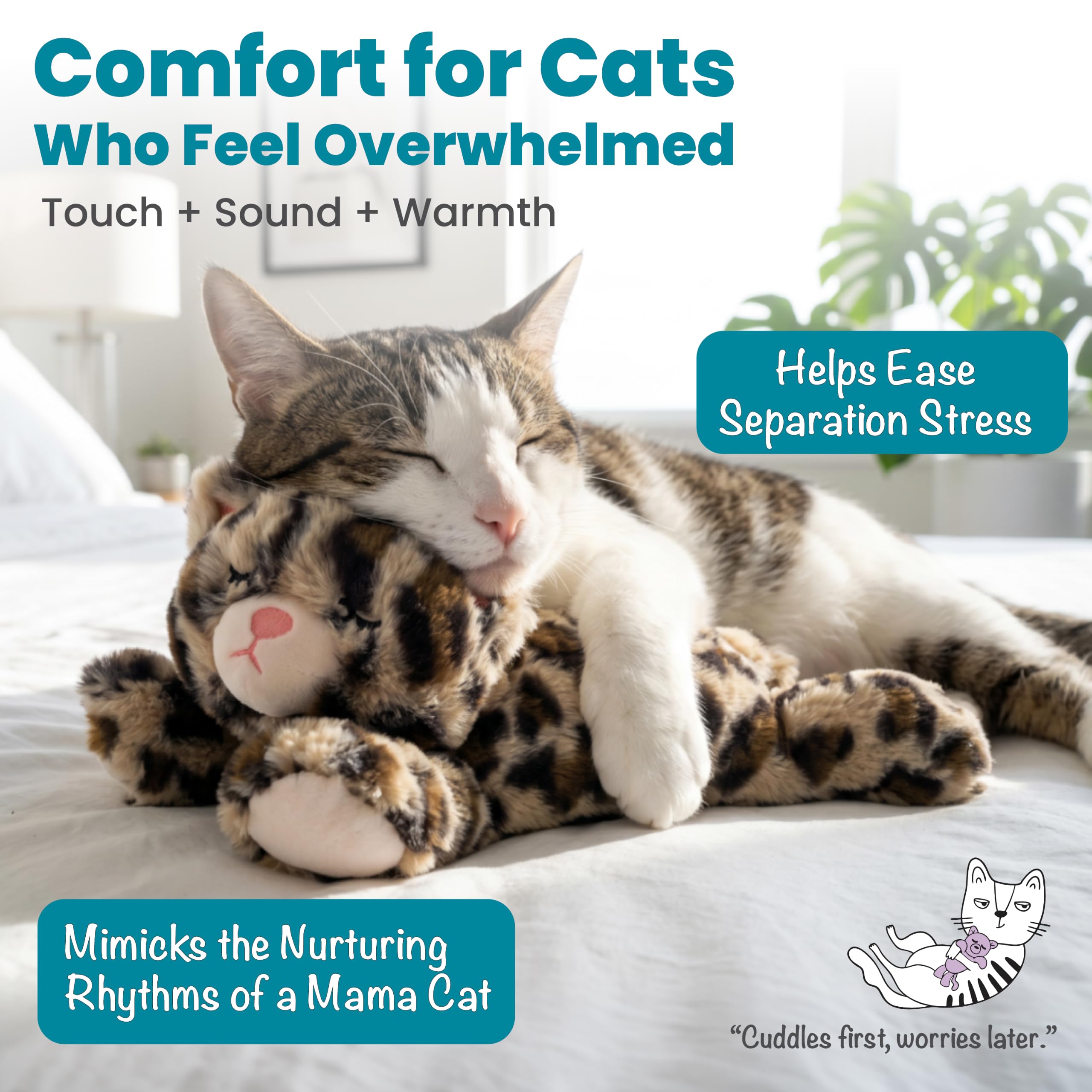 Catstages gros plan texture peluche douce pour confort câlin