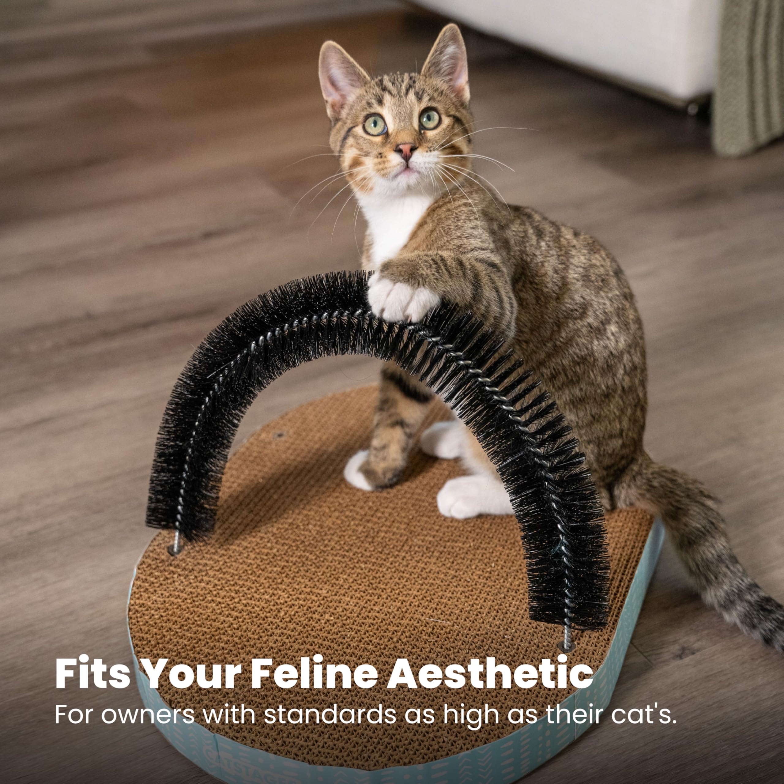 Catstages surface recouverte de cataire séchée pour attirer le chat