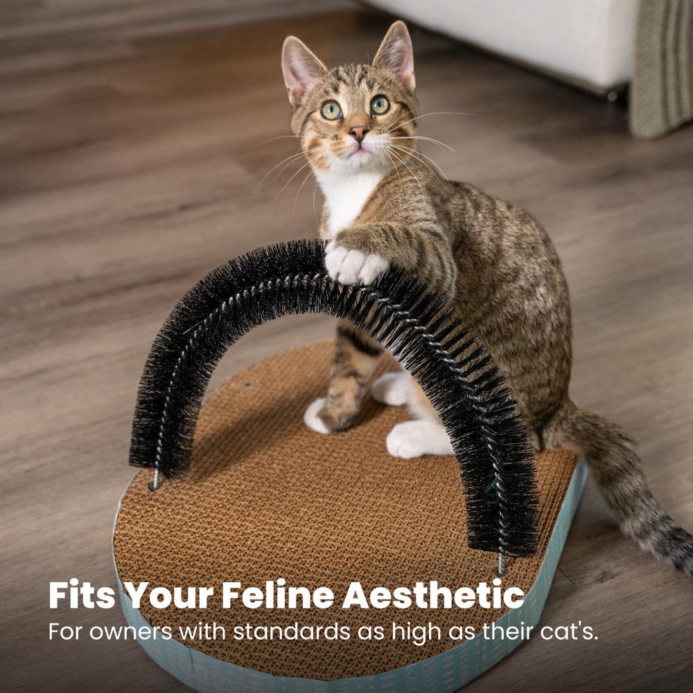 Catstages surface recouverte de cataire séchée pour attirer le chat
