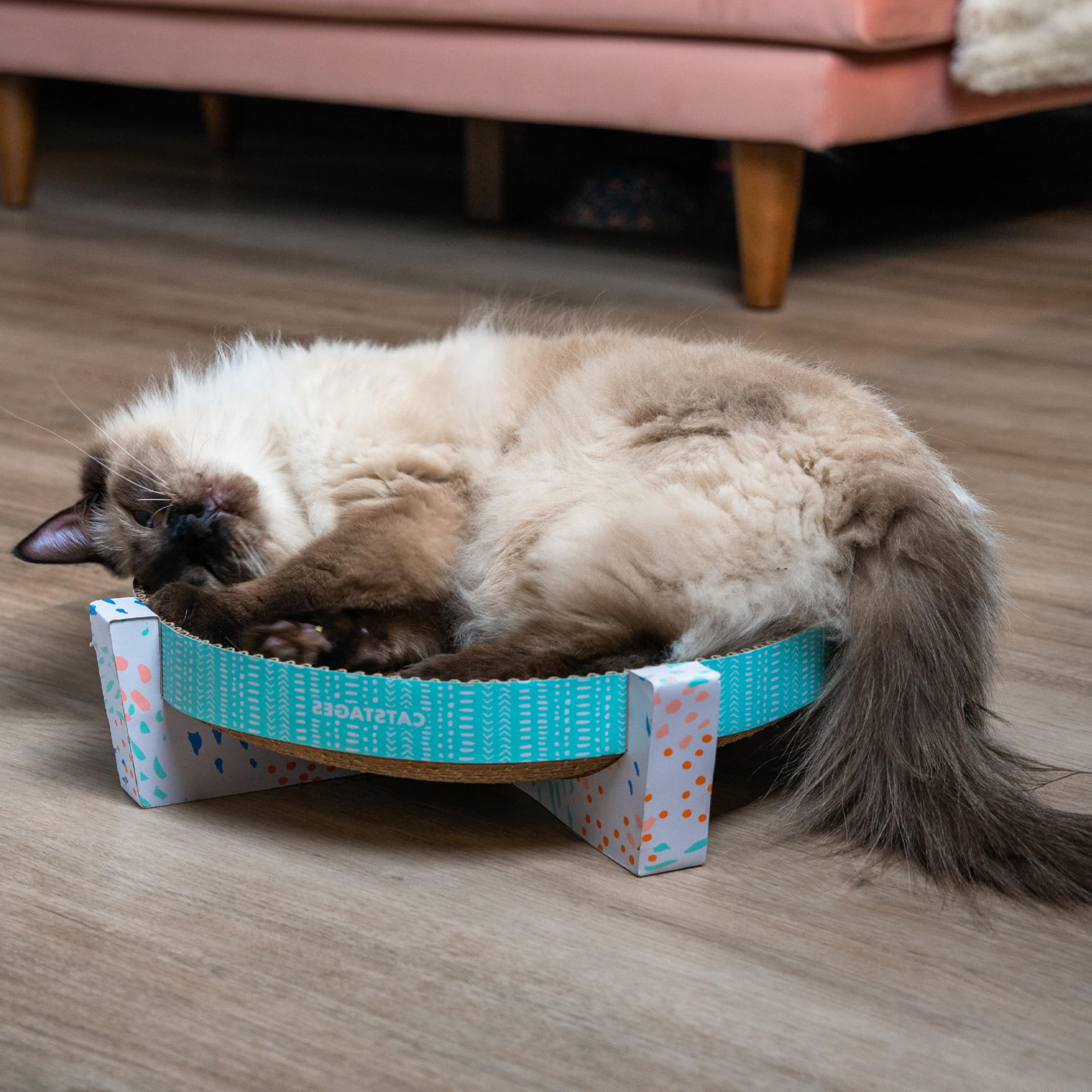 Catstages étiquette produit visible pour informations et sécurité