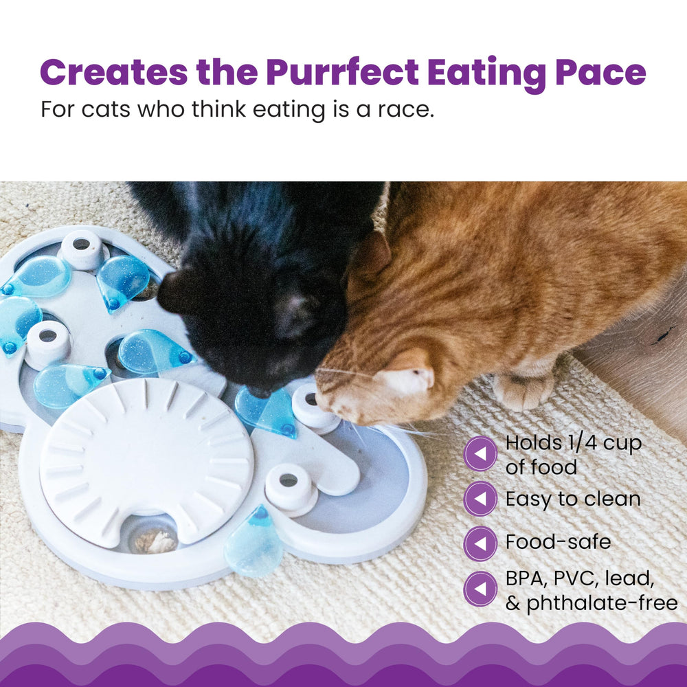 Catstages cheville remplie de friandises encourageant forage et patience