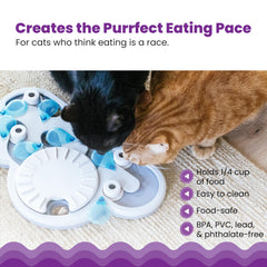 Catstages cheville remplie de friandises encourageant forage et patience