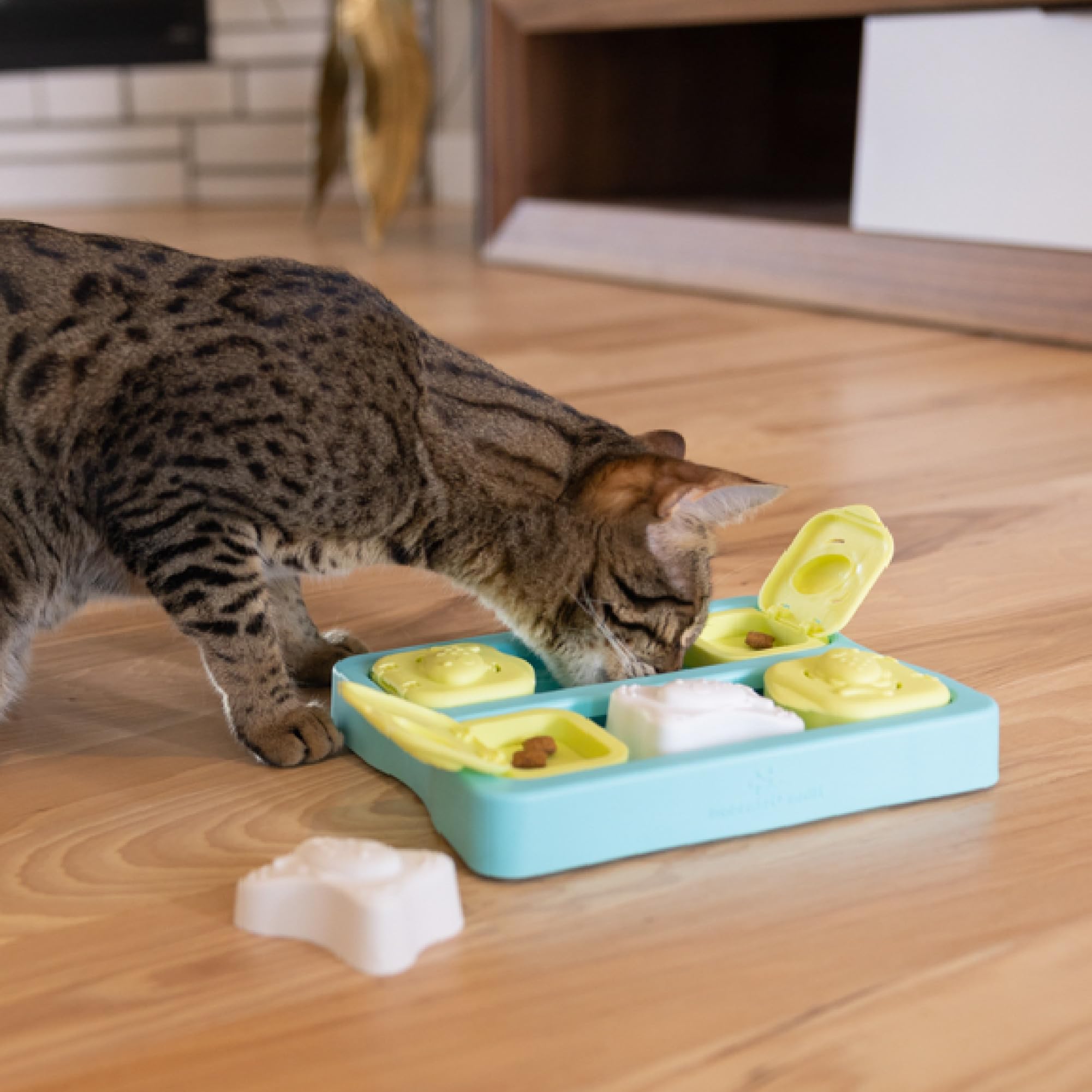 Catstages texture et matériau durable pour nettoyage facile et longévité
