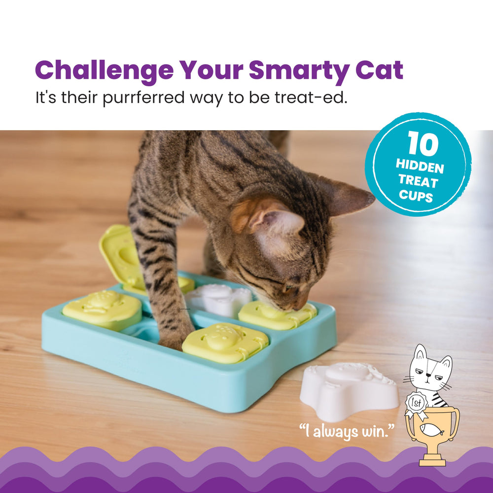Catstages vue aérienne des compartiments remplis pour un slow feeding