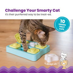 Catstages vue aérienne des compartiments remplis pour un slow feeding