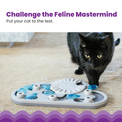 Catstages gros plan de la roue tournante montrant stimulation et challenge