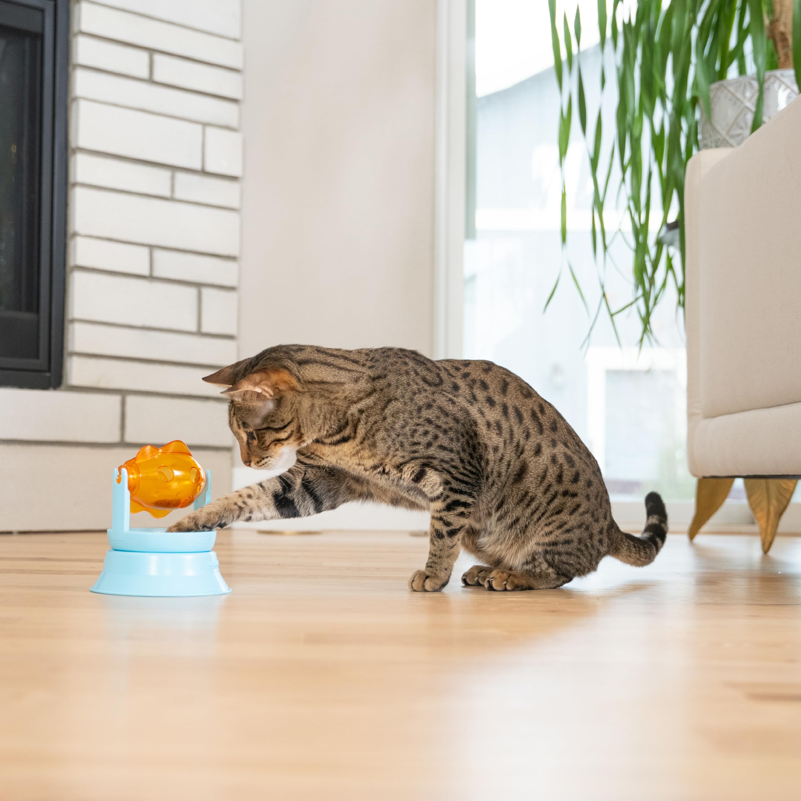 Catstages base détachable illustre usage autonome et multi-configurations