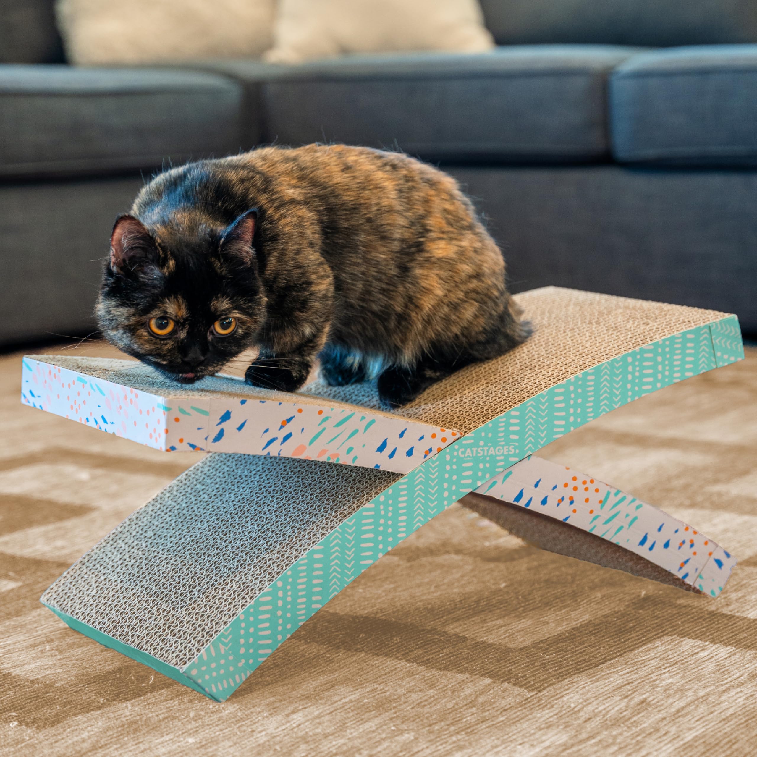 Catstages transat démonté rangé sous lit rangement compact