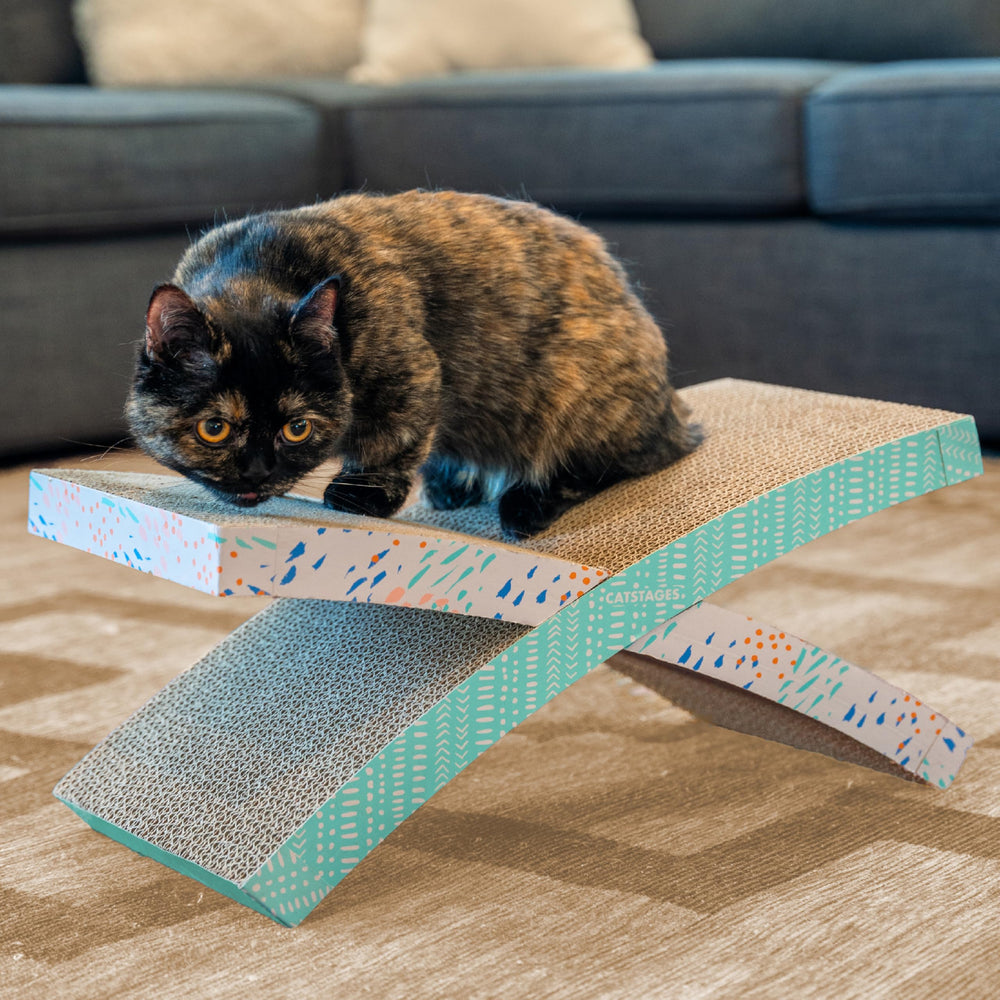 Catstages transat démonté rangé sous lit rangement compact