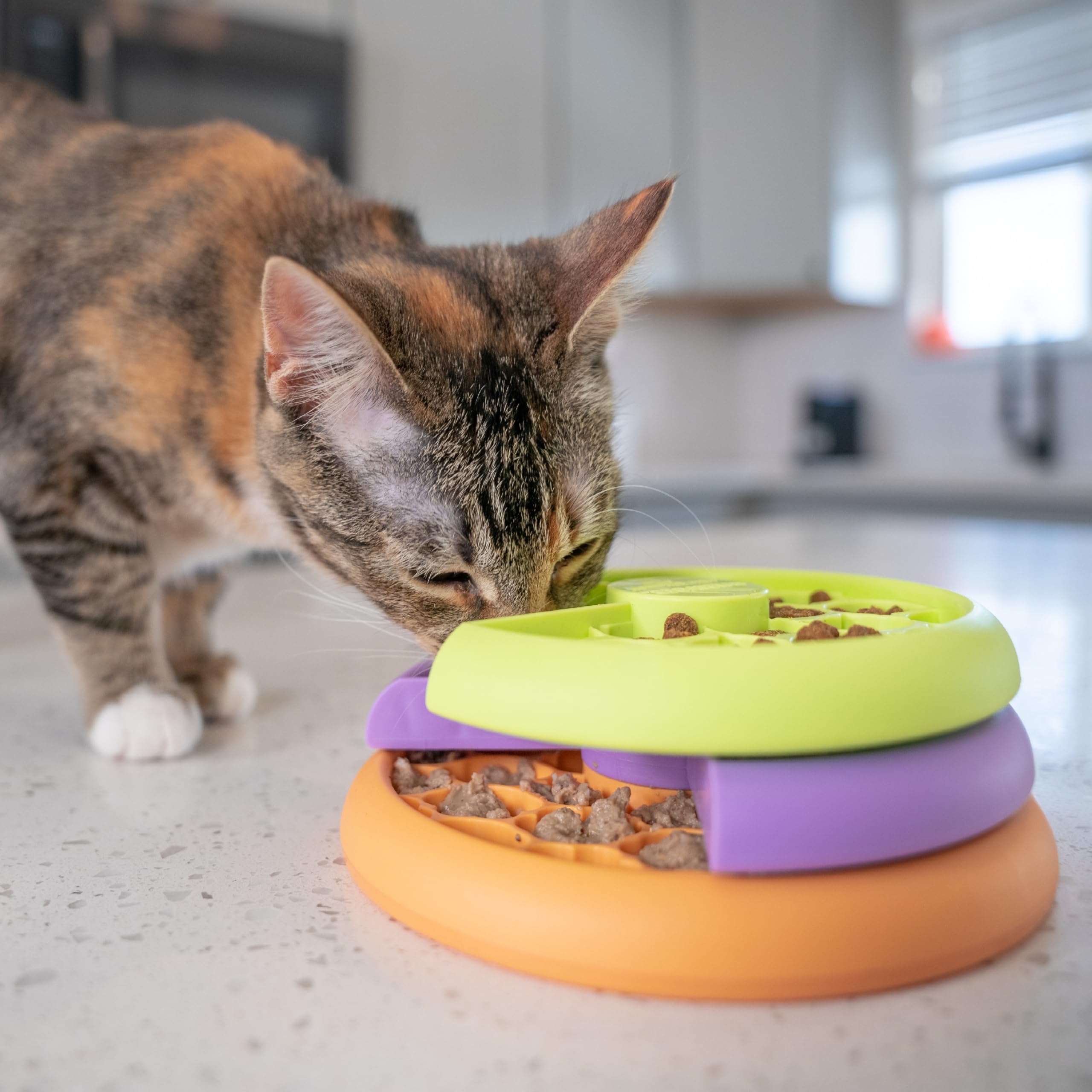 Catstages comparaison taille avec règle montrant dimensions compactes