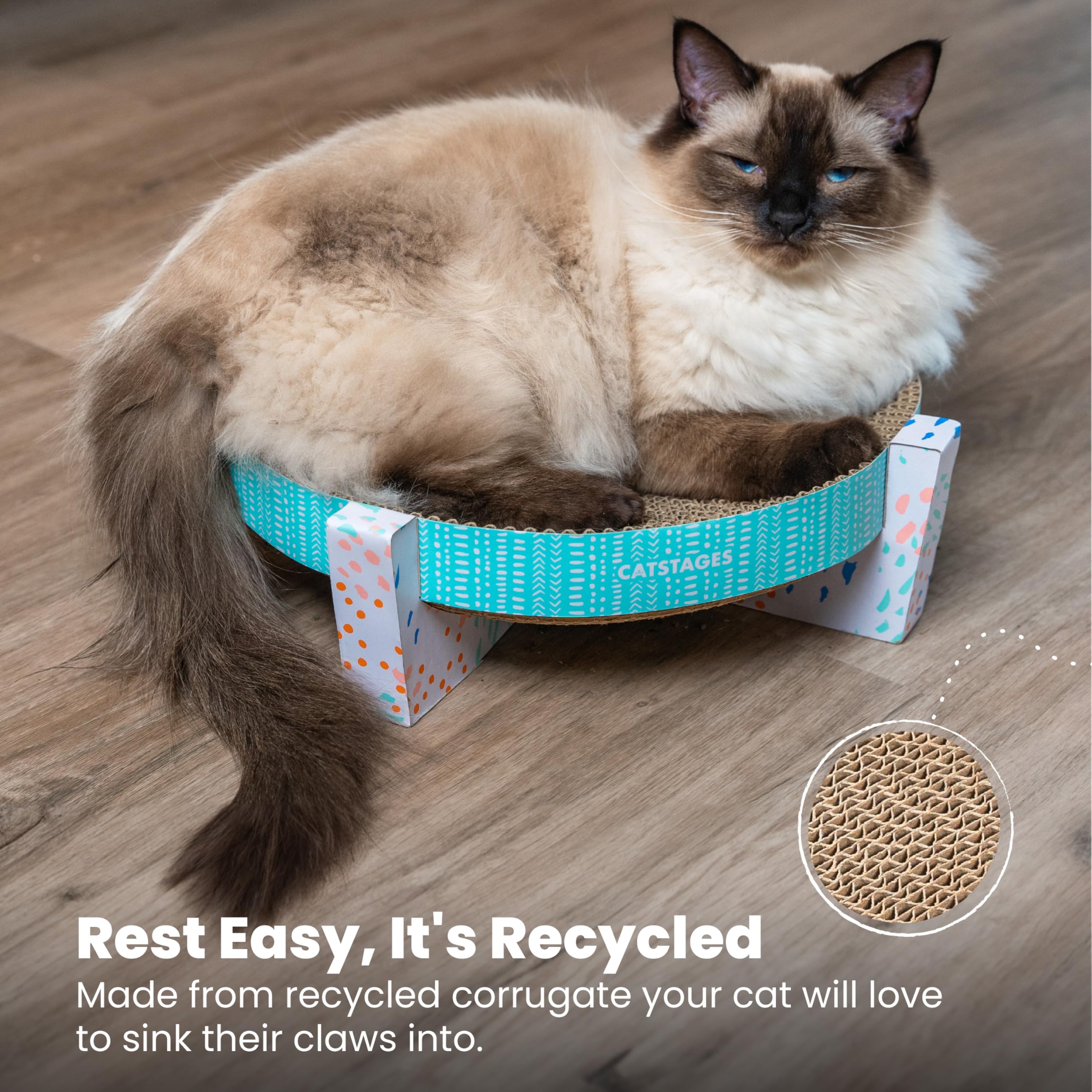 Catstages vue d’angle montrant profondeur pour confort enveloppant