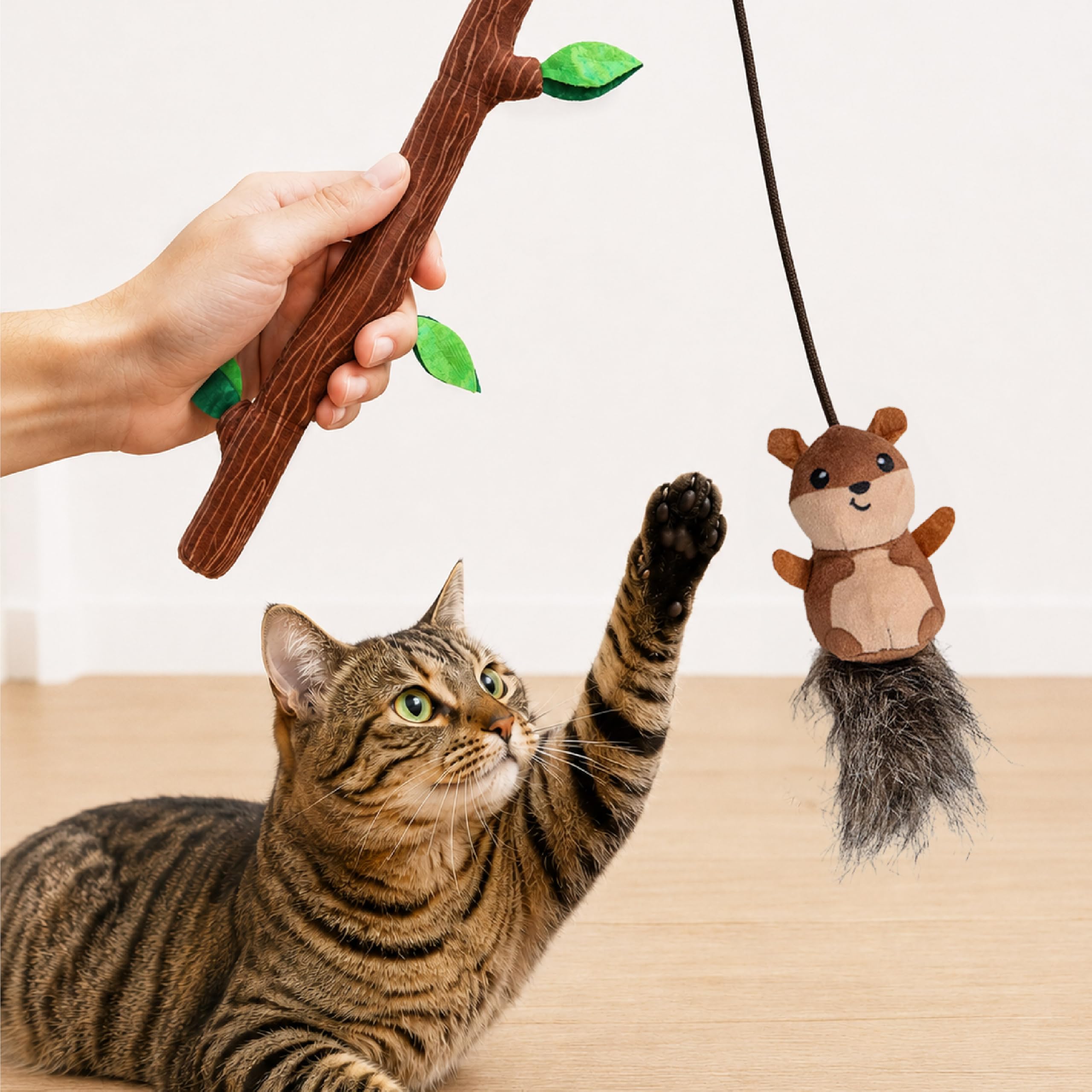 Catstages chaton jouant avec la baguette pour exercice et stimulation