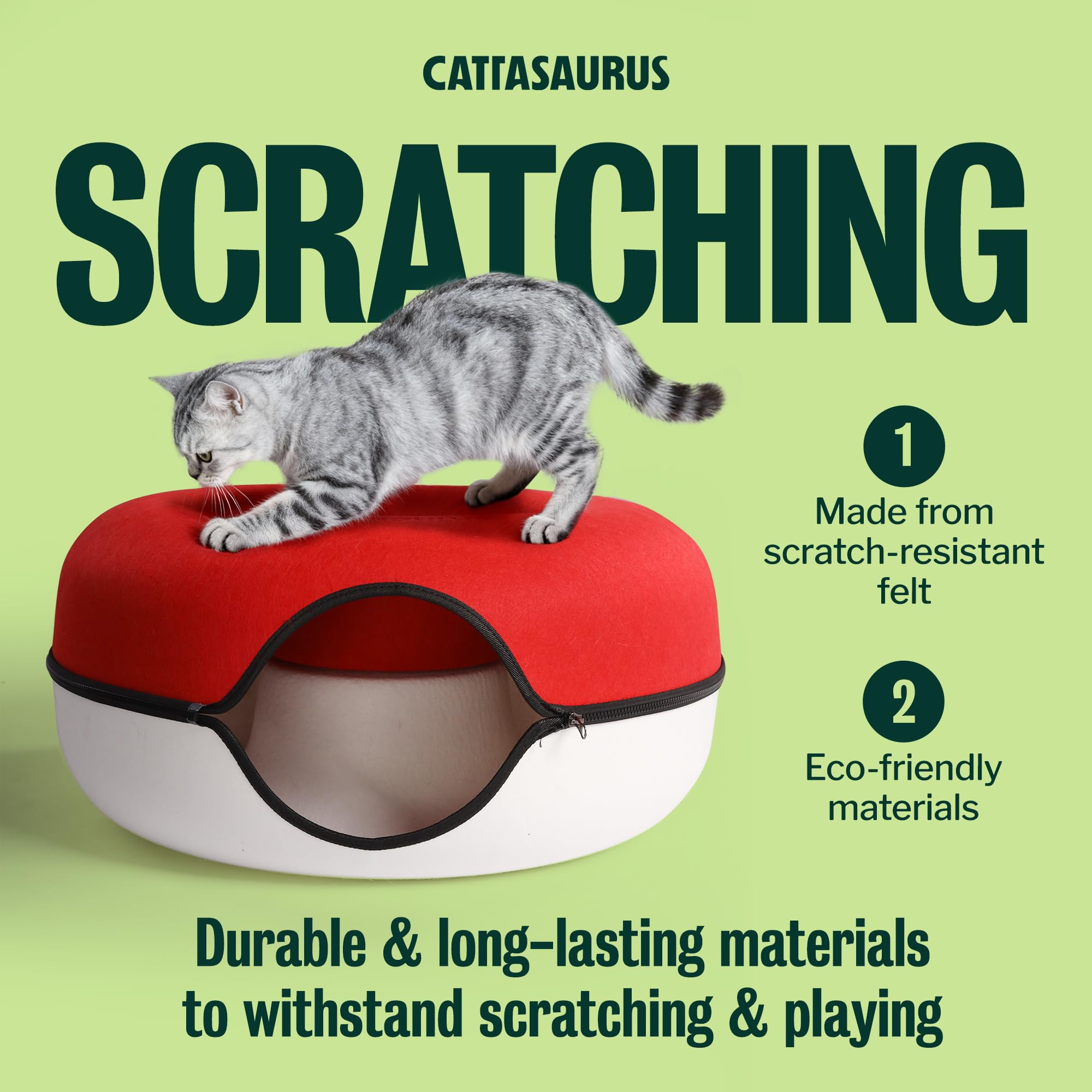 Cattasaurus grand chat allongé illustrant capacité pour chats lourds