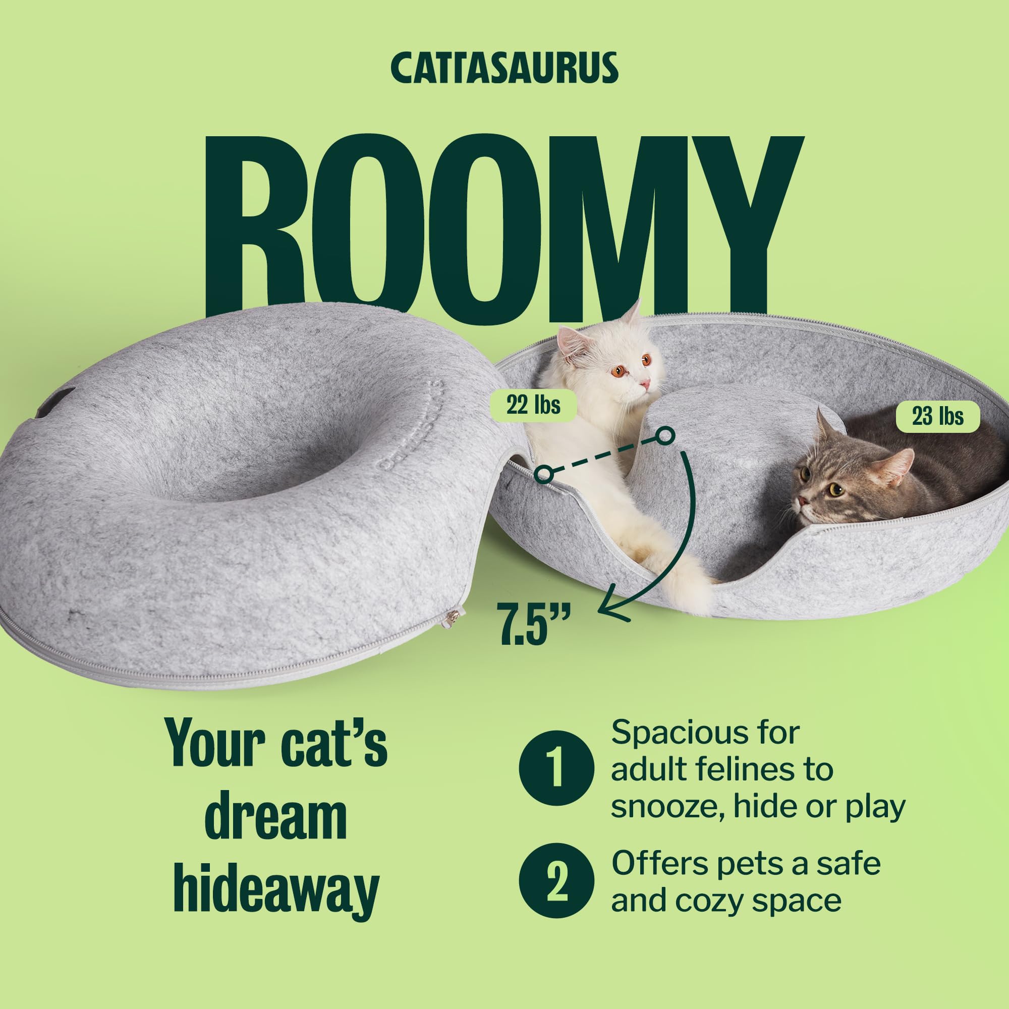 Cattasaurus chat dans le donut montrant taille et confort