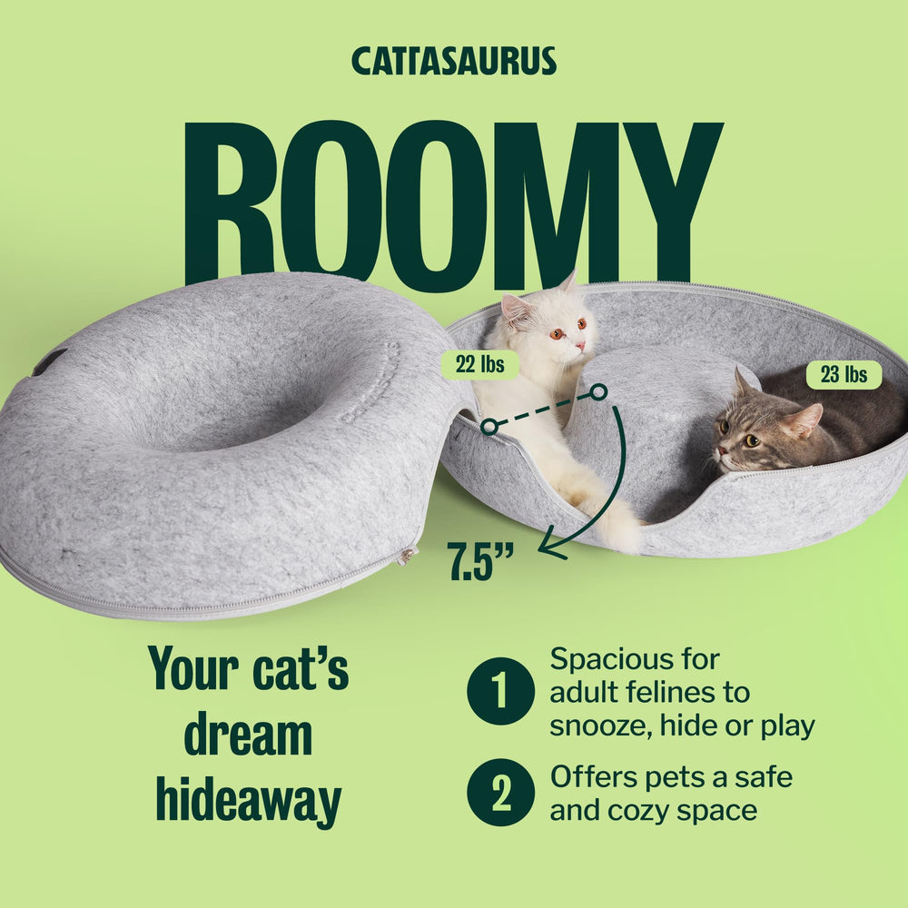 Cattasaurus chat dans le donut montrant taille et confort